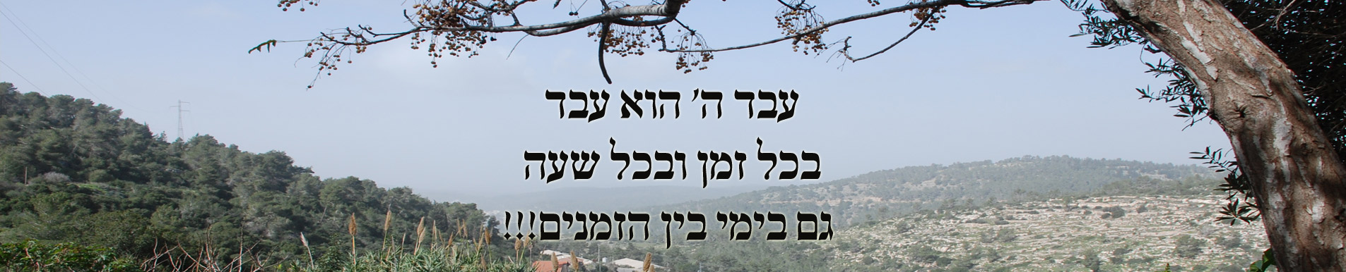 עבד ד' הוא עבד בכל זמן ובכל שעה - גם בימי בין הזמנים!!!
