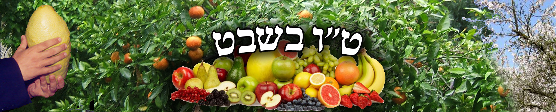 מדור ט"ו בשבט