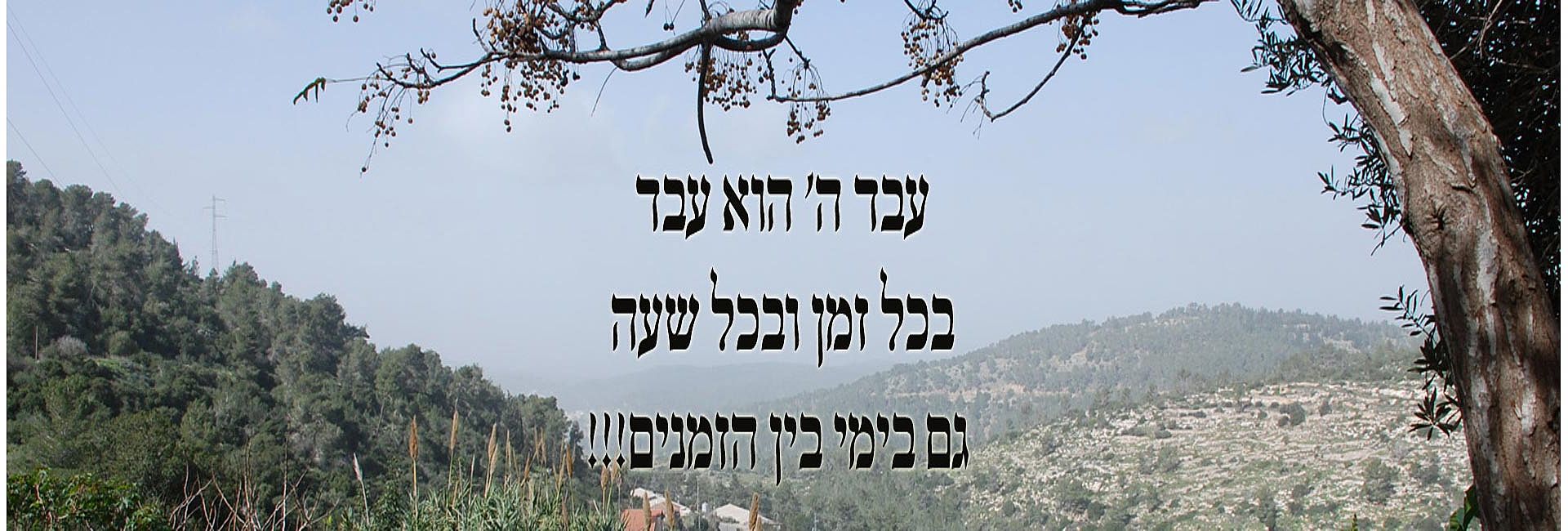 מדור בין הזמנים